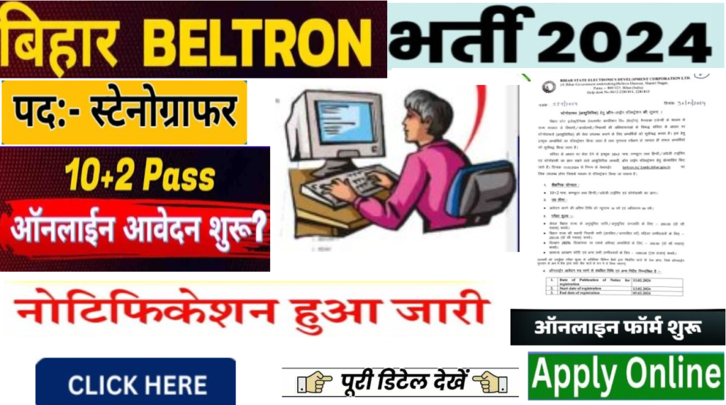 Beltron Stenographer Bharti 2024